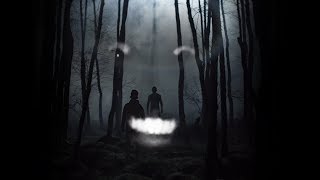 The Forest
