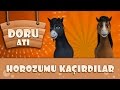 Horozumu kardlar  doru at ocuk arklar 2016