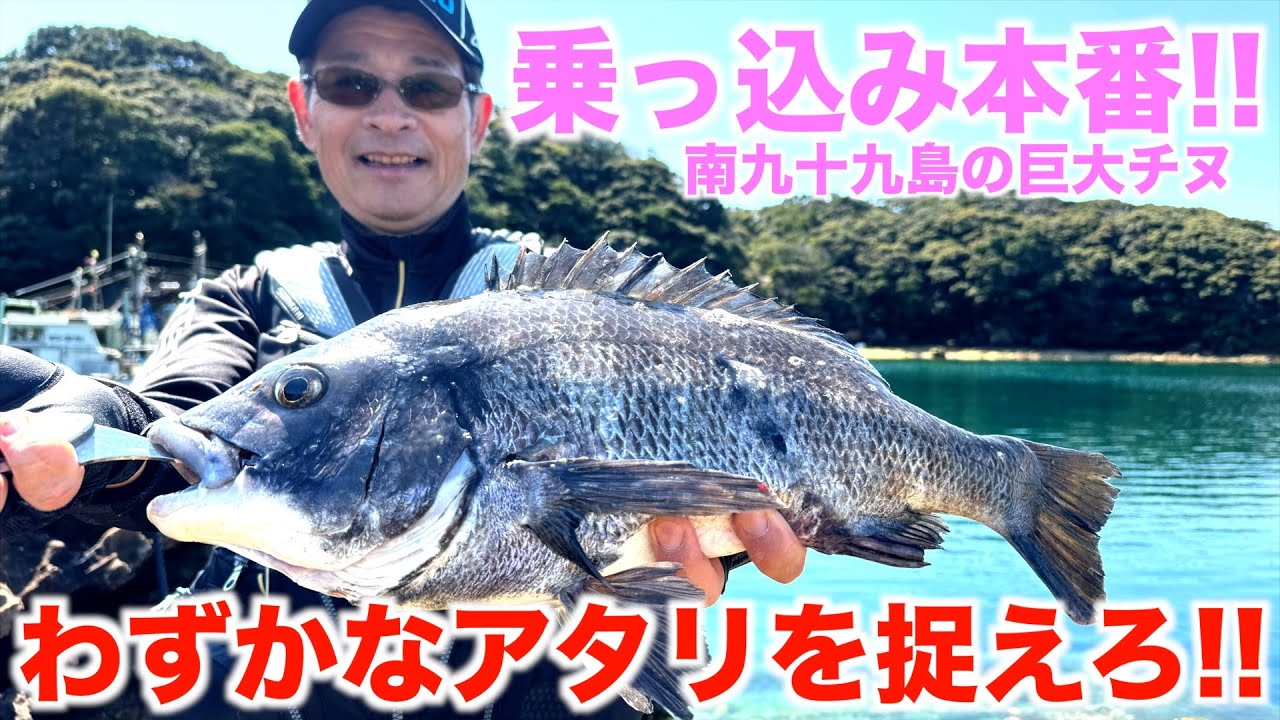 九十九島の大型チヌを釣るには〇〇なウキと餌は〇〇〇!!