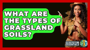 What Are The Types Of Grassland Soils? - Ecosystem Essentials