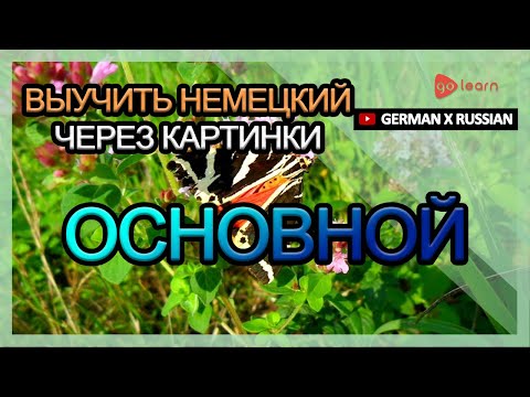 Выучить Немецкий через картинки |Немецкий словарь основной | Golearn