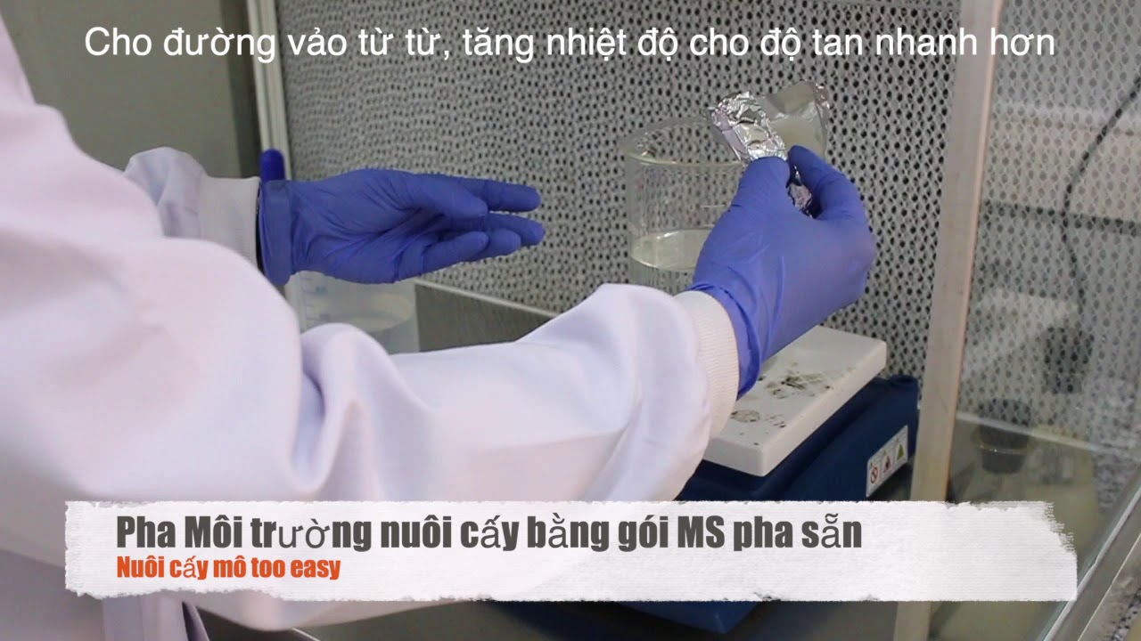 Cách pha môi trường MS nuôi cấy mô siêu nhanh, siêu... - youtube