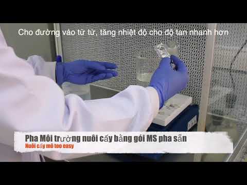Video Cách pha môi trường MS nuôi cấy mô siêu nhanh, siêu... - youtube