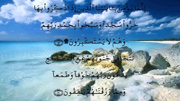 سورة السجدة * الدوكالي * قالون
