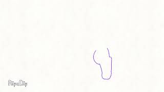 random animation test