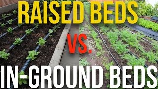 Raised beds or In Ground beds? Which might be better for you and why? Subscribe: http://bit.ly/curtisstonesub | Follow my IG: @
