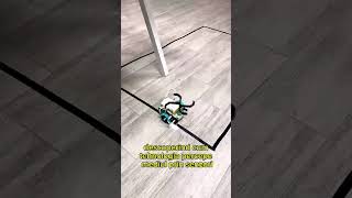 Atelier de Robotică pentru copii în Suceava | Tales&amp;Tech HUB 6–14 ani