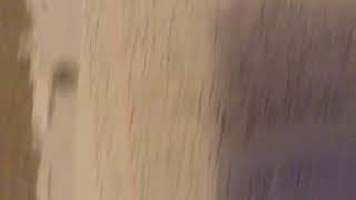 30 Day Undertale Drawing Challenge