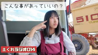 A sad incident — 230 boxes of pumpkins have rotted - YouTube