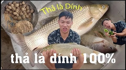 Mồi THƠM câu cá TRẮM cỏ DỄ LÀM nhưng RẤT HIỆU QUẢ (chuối-cám cò-cám gạo-cơm-giun đất) | Lại Bá Sự