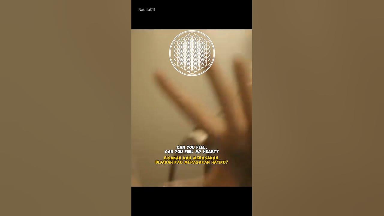 BMTH - Can you feel my heart || lyrics terjemahan #shorts #bmth #canyoufeelmyheart #shortsfeed BMTH - Can you feel my heart || lyrics terjemahan #shorts #bmth #canyoufeelmyheart #shortsfeed