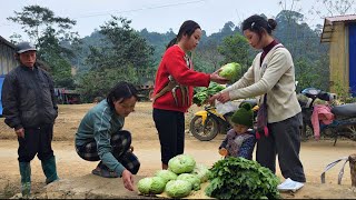 Download Lagu Alleenstaande moeder Ly Tieu Ca maakt haar tuin schoon en oogst late seizoensgroenten om te verkopen MP3