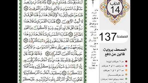 سورة الأنعام للشيخ خالد الغامدي