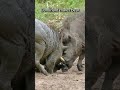 Tusk Justice | Warthog | S01 003 | Lesser-Known Facts