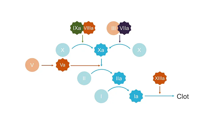 How to interpret mixing studies (prolonged PT/PTT)