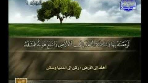 ما تيسر من سورة " الأعراف " للقارئ عبدالرحمن أبو حطب