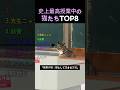 史上最高授業中の猫たちTOP8