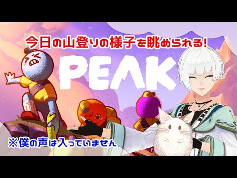 【PEAK】どこまで登れたかな？今日の山を登る！2025/9/2【無言・Voice off】