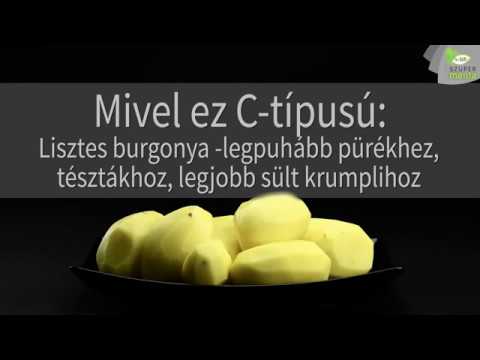 Videó: CTP elektronikus biztosítás: hol és hogyan kell igényelni?