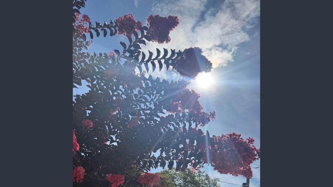 Tonton polymerization di YouTube Tonton polymerization di YouTube