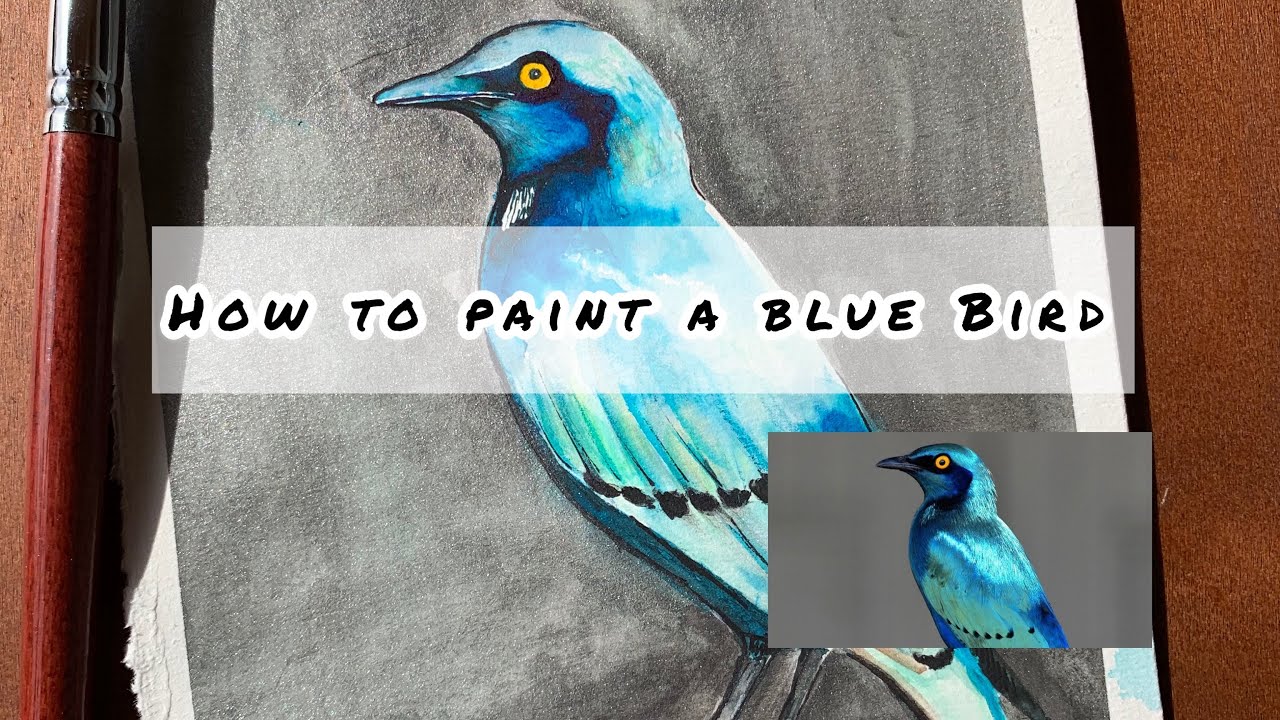 How to draw a blue bird - YouTube