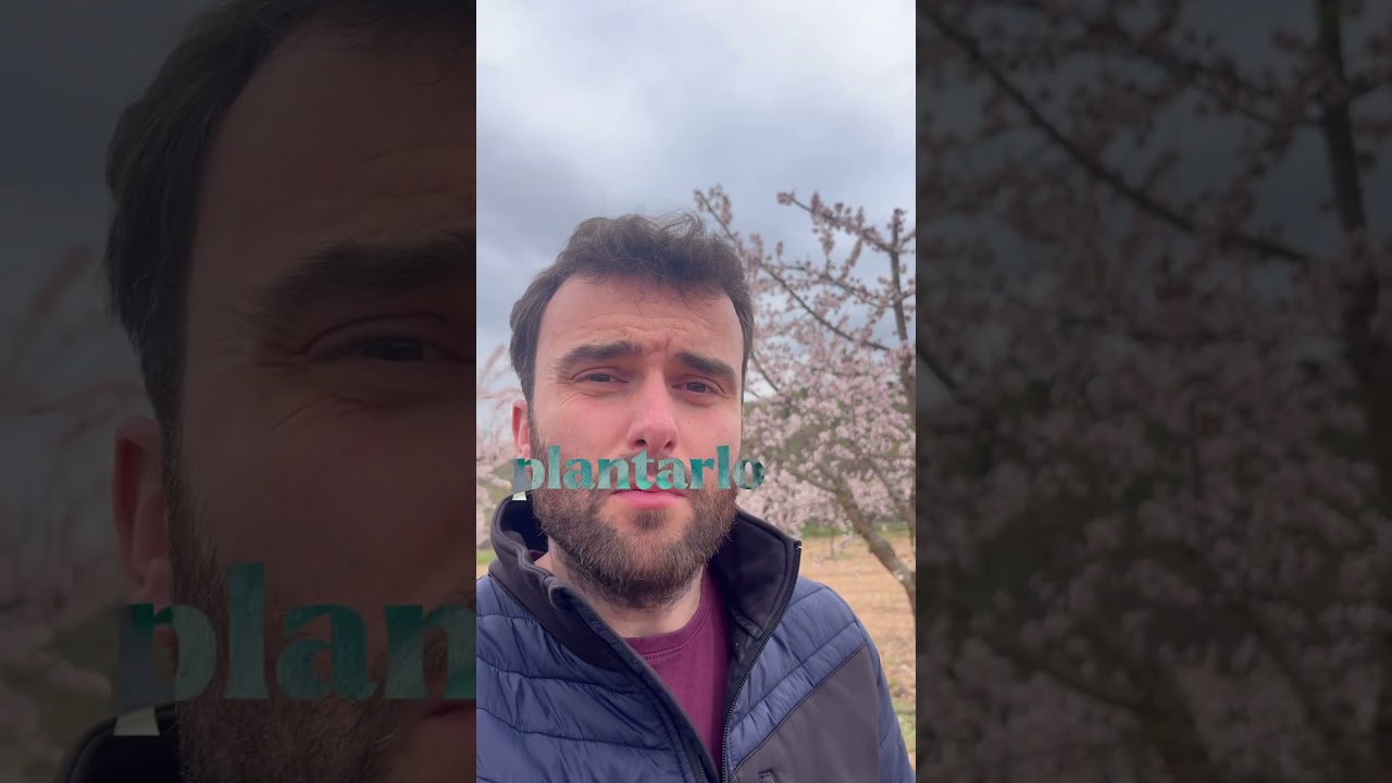 🌳🌸¿Es el almendro en intensivo el mejor cultivo para empeza #CultivosRentables #AgriculturaModerna