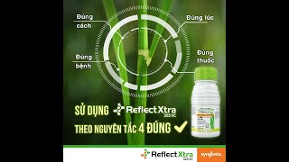 Reflect®Xtra 325SC: Thạc Sĩ Nguyễn Văn Minh nói về Giai Đoạn Nuôi Đòng Net Worth