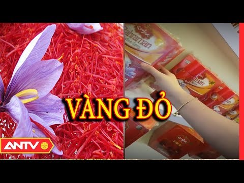 Video Bát nháo thị trường nhụy hoa nghệ tây (P1) | Điều tra... - youtube