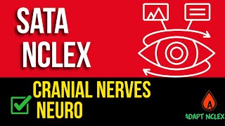 Cranial Nerves SATA NCLEX Question | NCLEX Select All That Apply Exam Strategy