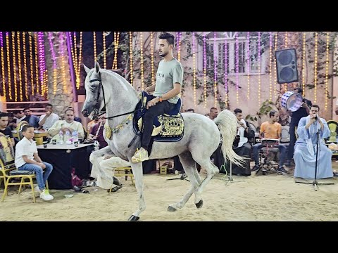 مازن العمدة و ابراهيم غزال حفلة مملكة دهشور حمد ربيع 2024