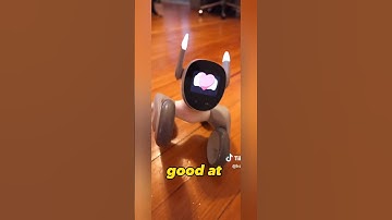 loona helping to select outfits #loona #loonarobot #loonareaction #petbot #airobot #petrobot