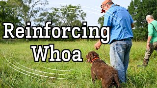 Advanced Whoa - Part Two