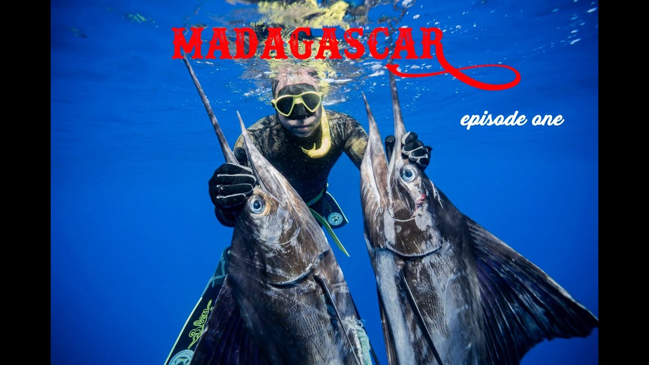Ψαροτούφεκο ανάμεσα σε καρχαρίες!!!Επεισόδιο 1 / Spearfishing among sharks!!!