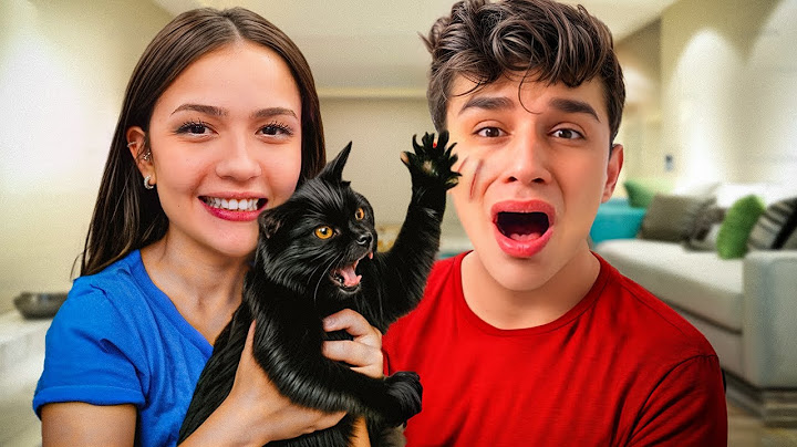 SEVGİLİMLE 24 SAAT KEDİ BAKICISI OLDUK !? Feride Özdinç | Ahmet Can Dündar