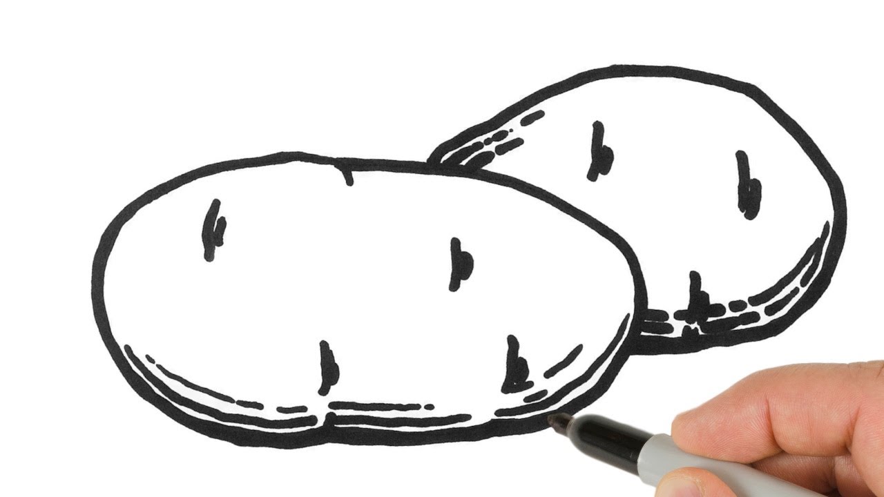 How to Draw a Potato Step by Step  EasyLineDrawing