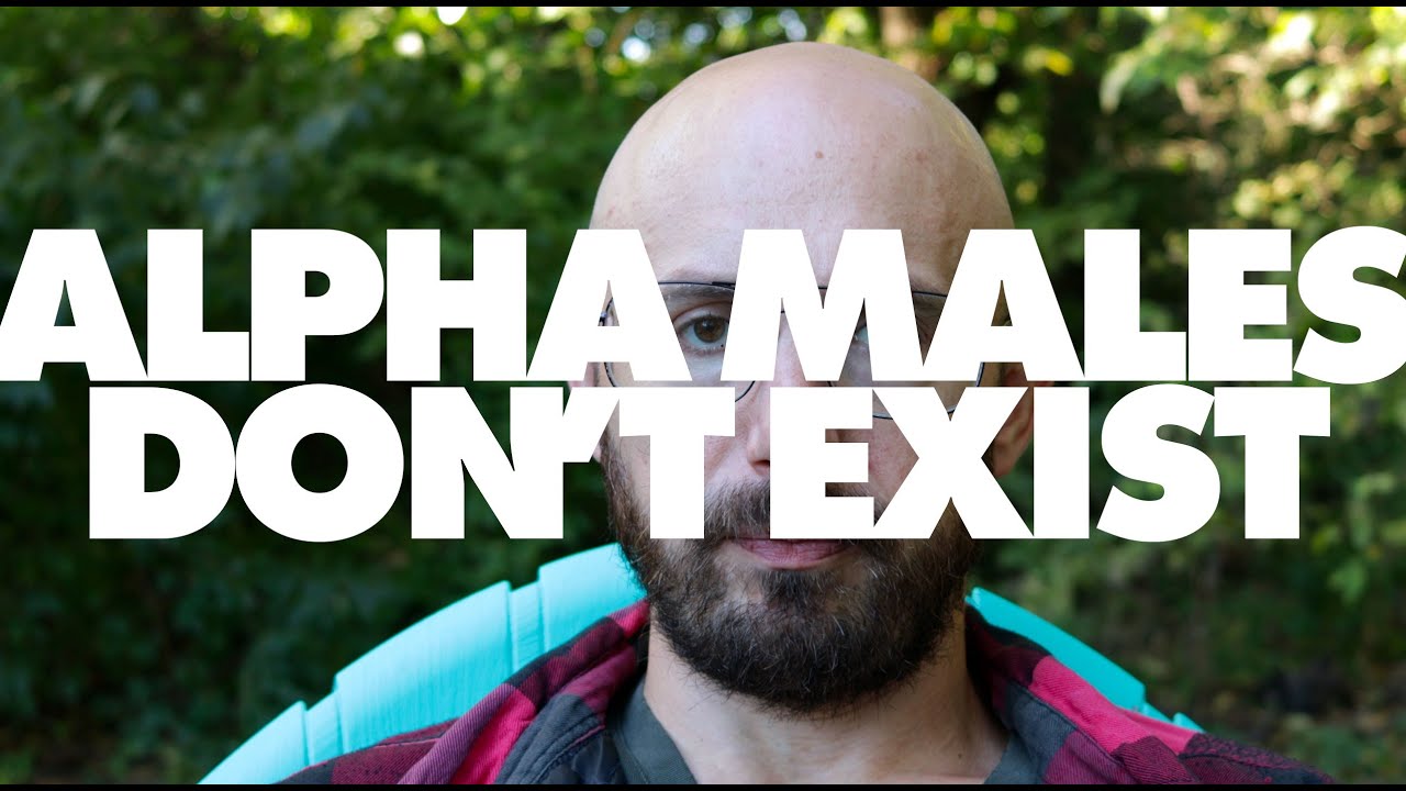 Альфа-самцов не существует