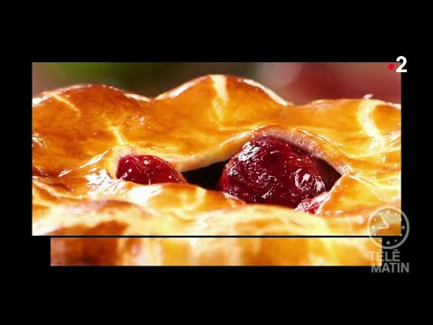 Vidéo: Pourquoi le modèle du pudding aux prunes était-il important ?