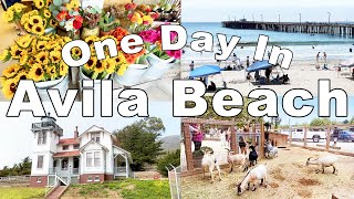 Avila Beach Things To Do | Point San Luis Lighthouse, Avila Valley Barn, Hiking, Pirates Cove Beach