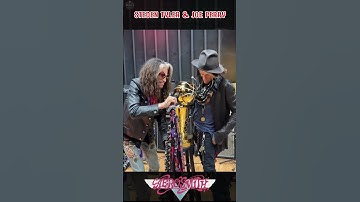 The Toxic Twins! #aerosmith #steventyler #rocknroll