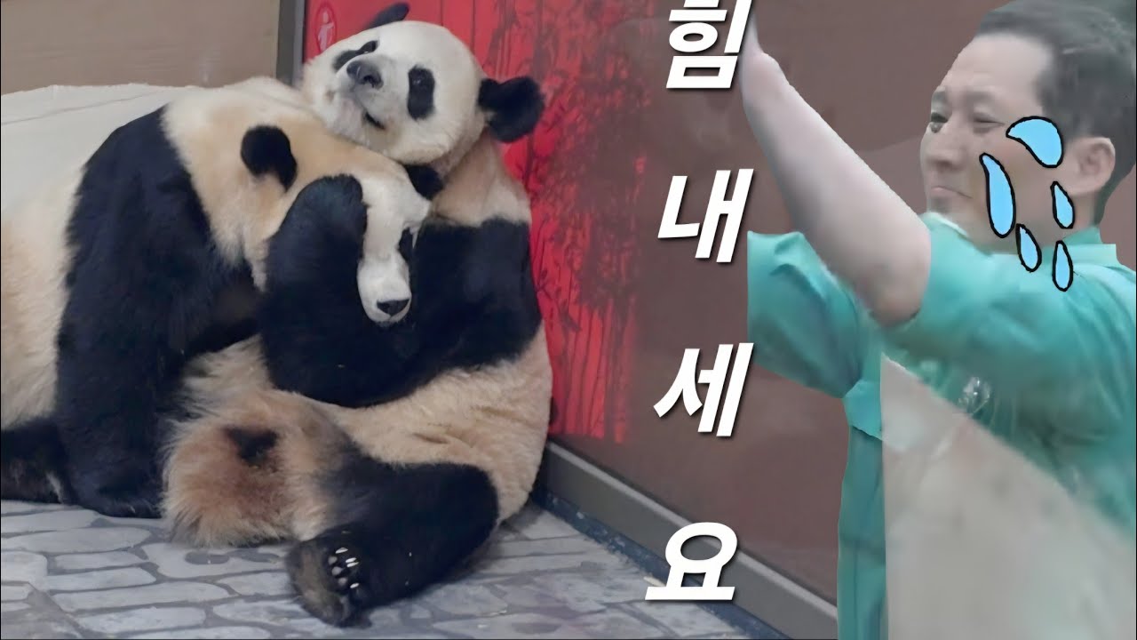 세컨하우스 3월2일 동생을 사랑하는 언니 루이