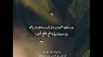 تلاوة هادئه من اجمل التلاوات/ للقارئ زكريا محمد عبد الجبار 🌹