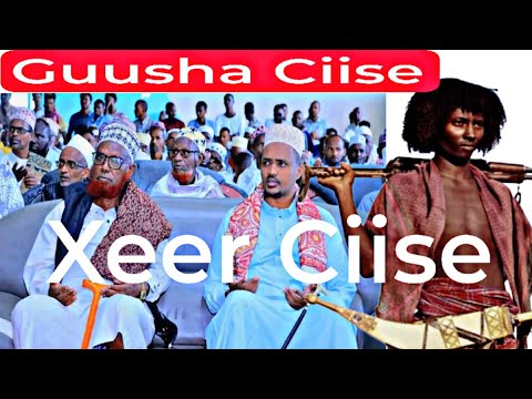 Xeer Ciise Warmurtiyeedki Shirki Ayshaca Balantu Waa Saylac 05 12 2025 Daawo Muqaalka