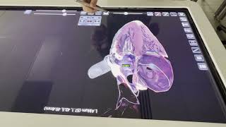 Anatomy of the Heart by Southwest Science 24 views 2 years ago 8 minutes, 4 seconds