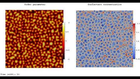 Oil-in-water droplet phase: lattice Boltzmann simulation