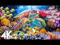 Ocean 4K - Sea Animals for Relaxation, Beautiful Coral Reef Fish in Aquarium - 4K Video Ultra HD #12