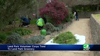 Hundreds of volunteers clean up Land Park ahead of spring