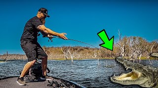 Gators and Bladed Jigs in the Backwoods on one of my FAVORITE South Texas Lakes! CHOKE CANYON!