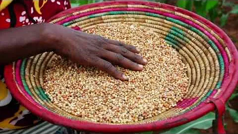 Toward Resilience:  A Guide to Disaster Risk Reduction and Climate Change Adaptation