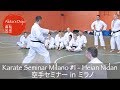 #1 Kata Heian Nidan - Seminar in Milano【空手inミラノ】型平安二段【Akita's Karate Video】