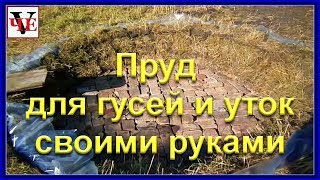 Пруд для гусей и уток своими руками.